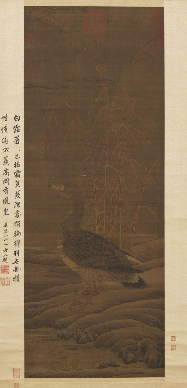 白露至，秋实美