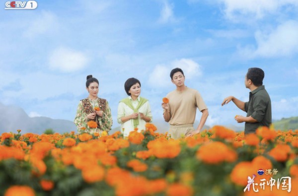 滇南花开红河岸，探寻“一朵花”的中国式浪漫