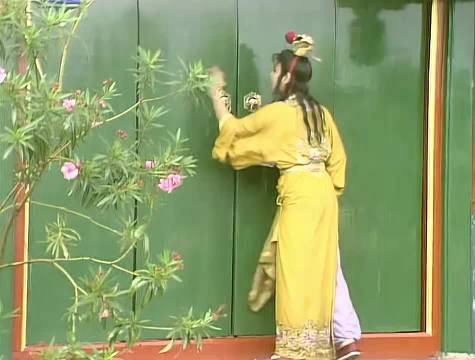 贾宝玉狠狠踹了袭人一脚,一不小心,把偷试云雨情的孽种给流了