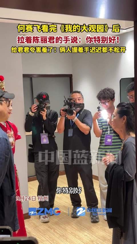 何赛飞看了我的大观园