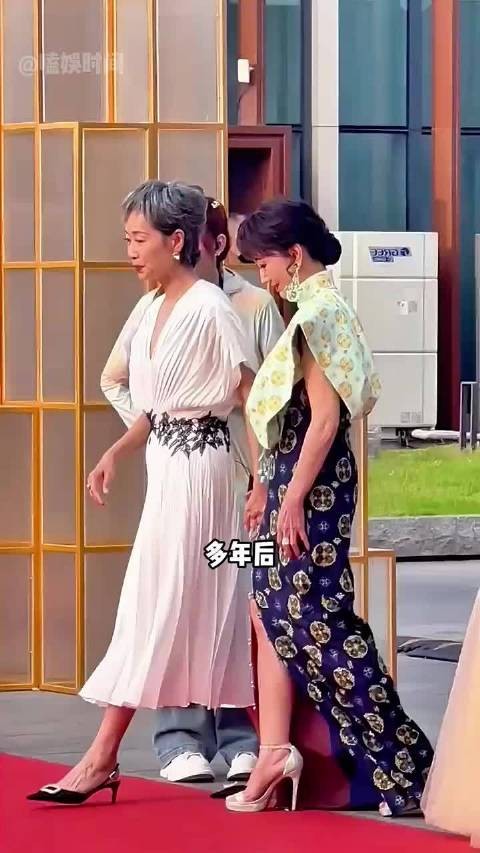 叶童半生真心换伤痕，周慧敏以猫寄情，刘嘉玲人间清醒