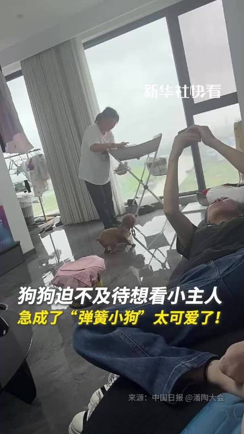 狗狗迫不及待想看小主人,急成了“弹簧小狗”,太可爱了!