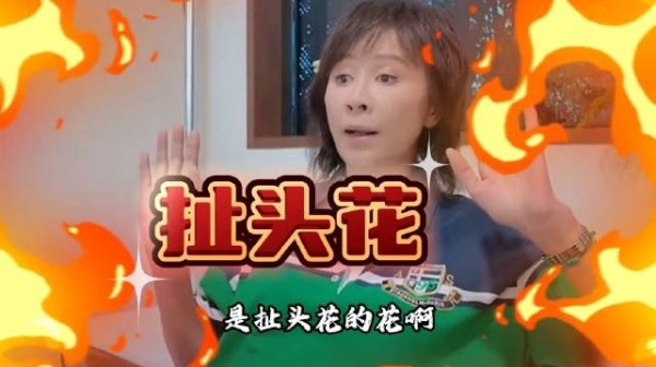 一路繁花2 何赛飞 宁静 “火药味十足”,没剧本的“互撕”比宫斗还刺激