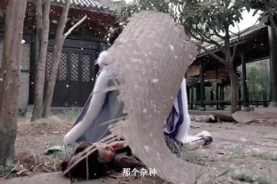 何宣林严子贤新剧《与君渡长欢》演绎宠妾灭妻救子故事