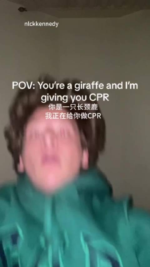 给长颈鹿做CPR 本长颈鹿要笑吐了