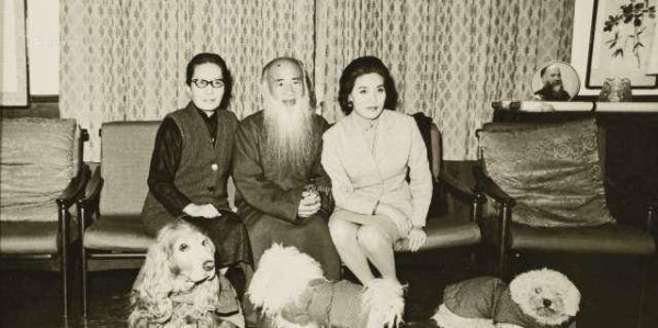 发生何事？张大千用手狠狠拍打额头，并立誓：今后，我永不画虎