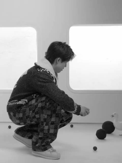 王楚钦与小动物互动显童趣