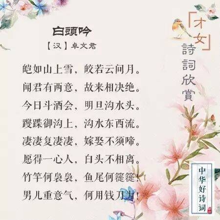 古代八大才女在此,你想和谁做好朋友?