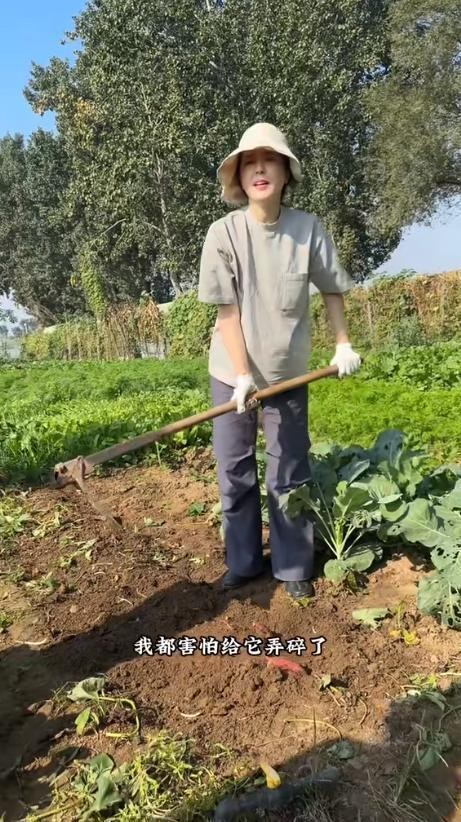 49岁曾黎回老家种地！法令纹明显，脸部皱纹清晰可见，跟农妇没啥区别