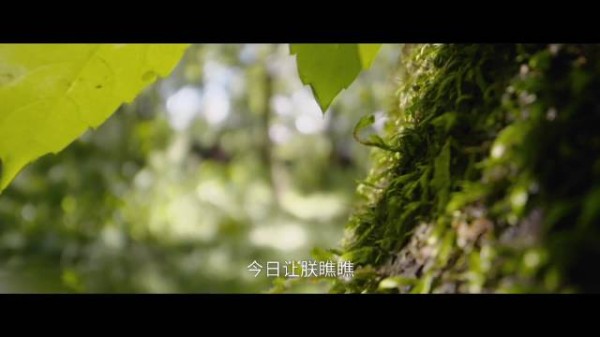 短剧还珠重现名场面,浣衣局宫女见证小燕子紫薇故事