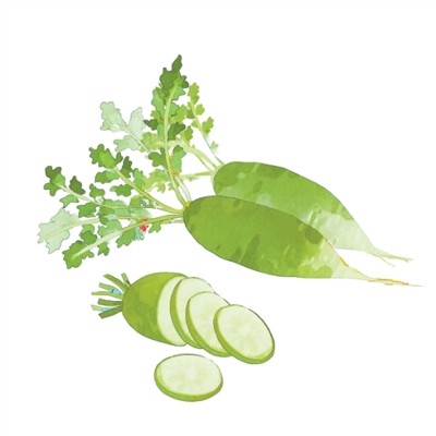 为什么“冬吃萝卜夏吃姜”(文化中国行·二十四节气二十四问)