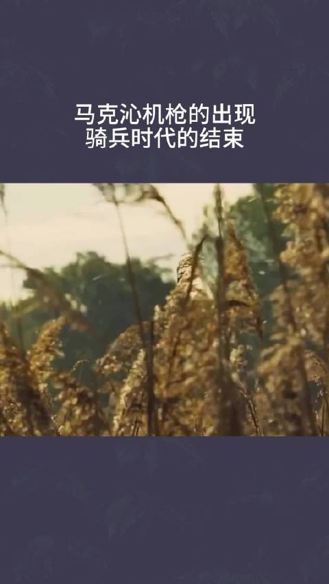 马克沁机枪的出现，骑兵时代的结束