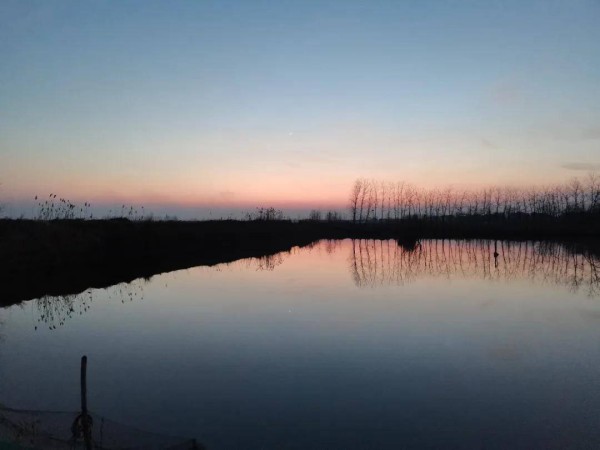 《金瓶梅》写得怎么样?