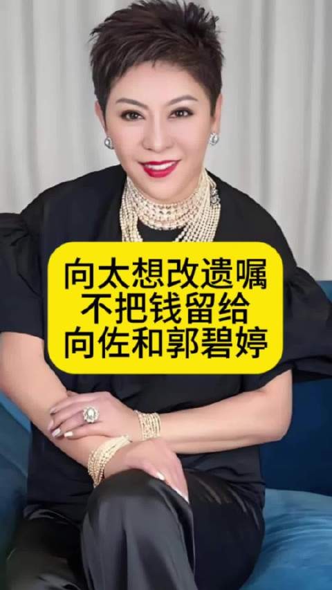 向太想改遗嘱,不把钱留给向佐和郭碧婷