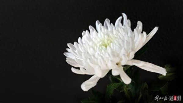 痛悼!江苏籍大师钱亦平在上海逝世,享年79岁