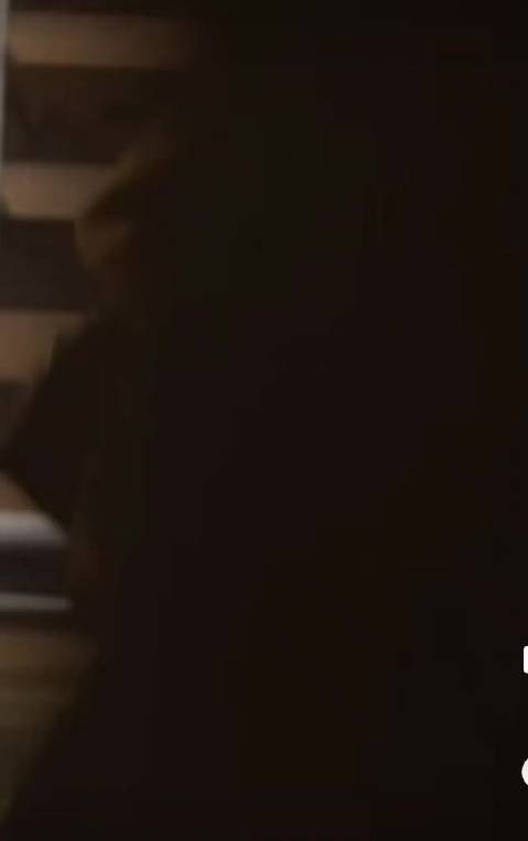 我不行了我们《入局》哥妹跑得咋这么命苦