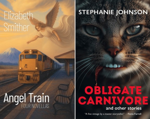 因涉及AI元素,新西兰最高图书奖取消两位作家的资格