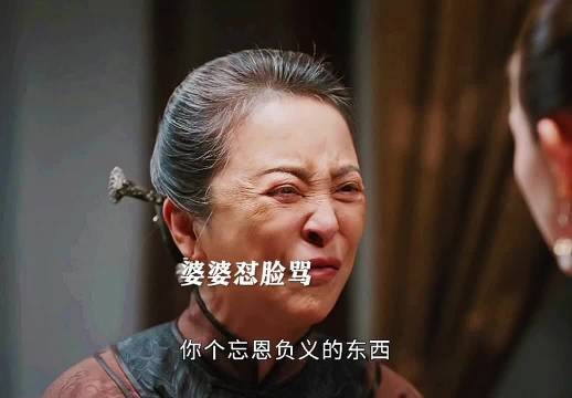 婆媳互骂引热议,韶华回怼不留情