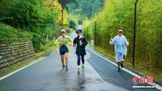 图为徒步爱好者参加2025“绿行者”生态文明公益健行活动。(活动组委会 供图)