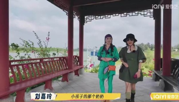 刘嘉玲跟张柏芝说张柏芝的孩子的奶奶夸张柏芝把小孩子带的很好