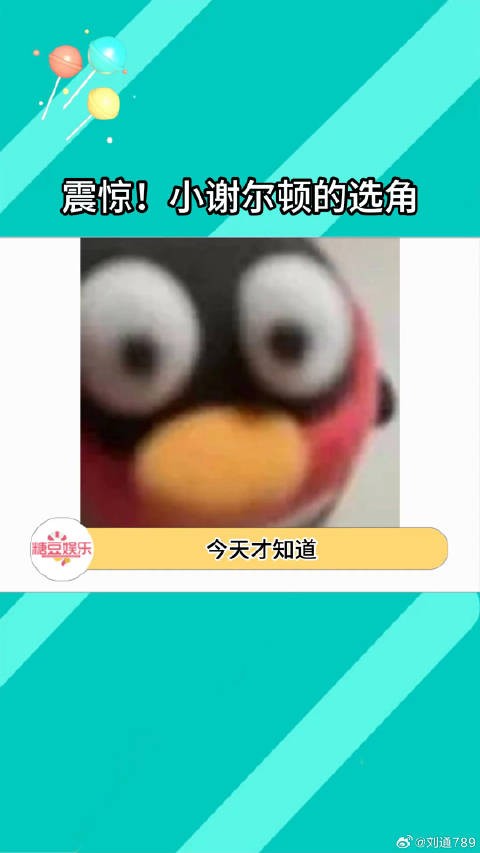 小谢尔顿妈妈的选角好妙!小谢尔顿