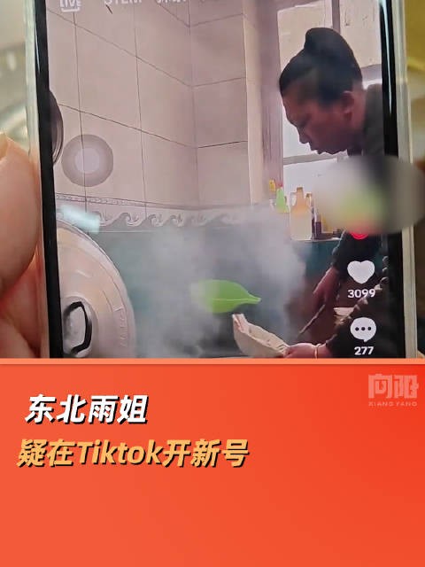 东北雨姐疑在Tiktok开新号
