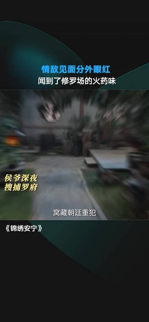 情敌见面分外眼红!陆嘉学深夜搜捕罗府逮捕罗慎远,宜宁回护罗慎远,张晚意