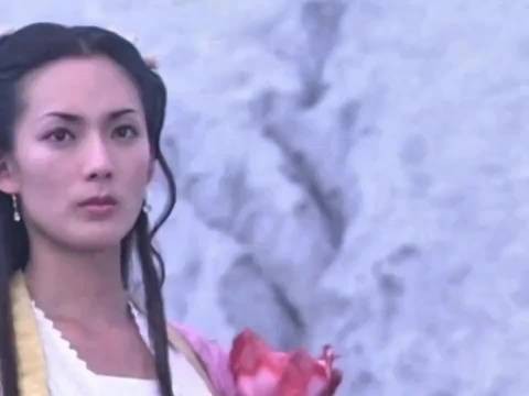 问世间情为何物， 只教人生死相许，嫁人要嫁穿山甲，娶妻远离何仙姑！