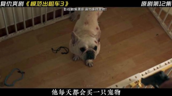 复仇爽剧《模范出租车3》最新剧情来了！一如既往以暴制暴！ 5283，开始行动！