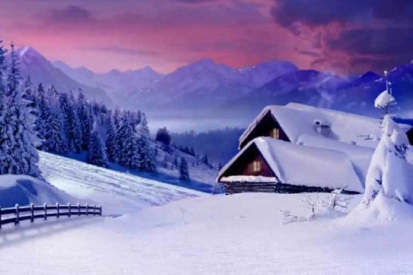 电影节表彰多元文化电影作品