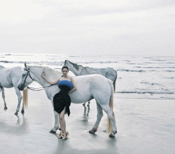 杨幂在海边与白马互动，简约造型衬得神态松弛自然。