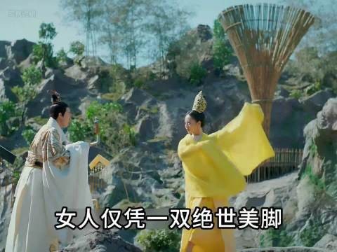 女人仅凭一双绝世美脚就将昏庸的小皇帝迷得神魂颠倒