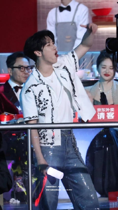 沉浸式追星的超有礼貌的此猫太可爱了