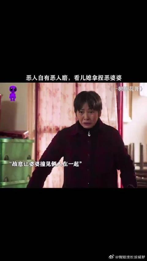 婆婆以为第二任儿媳是软柿子,结果儿媳把她治的服服帖帖