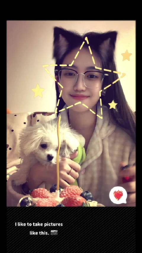 今年一个人很平静带着我的小狗 过完了自己25岁生日