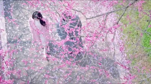 网友给骄阳似我配的bgm 好适配..