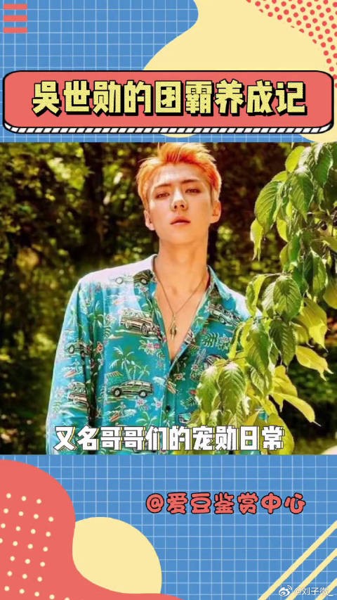 exo 金俊勉 微博VC计划