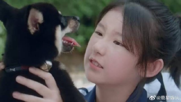 桑稚眼中自己亲哥就是个大傻狗