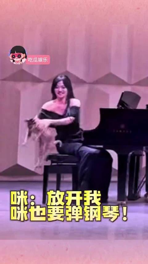 谁知道的，万一钢琴是小猫买的呢‖看一次笑一次