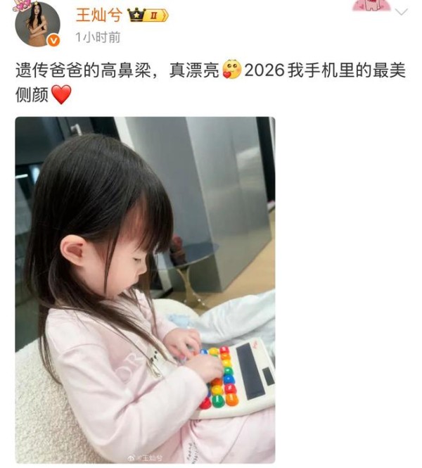 王灿兮公开女儿侧面照，小蛋饺遗传父亲高鼻梁，侧颜像极了杜淳