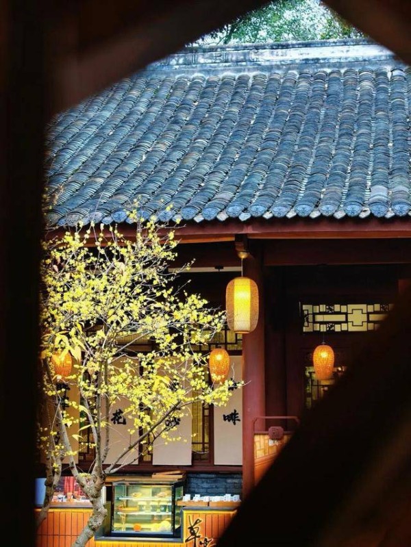 成都冬日顶流出道 到博物馆里感受“金黄暗香”