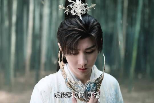 他的生辰也是他母亲的忌日，他父亲不是不知道，而是不想说！成毅