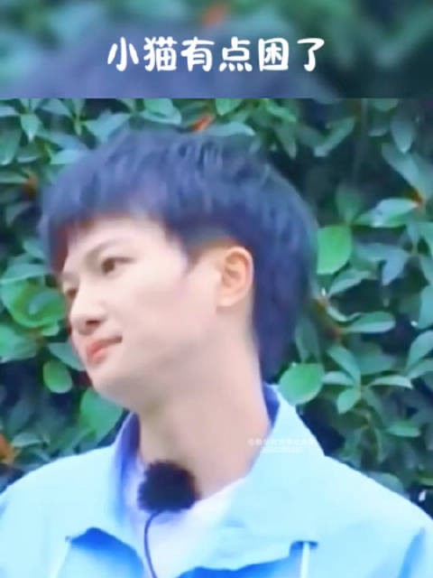 周深小猫困了生米周深