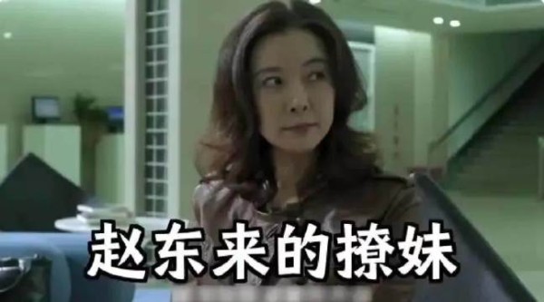 人民的名义:如果陈海没有醒过来,赵东来和陆亦可会在一起吗?