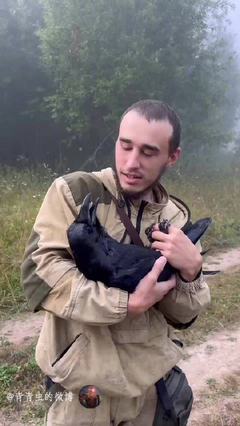 同球为碳基，人龙情未了