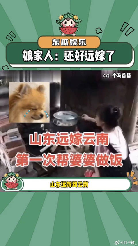 看开头：又是一个恋爱脑 看结尾：6搞笑