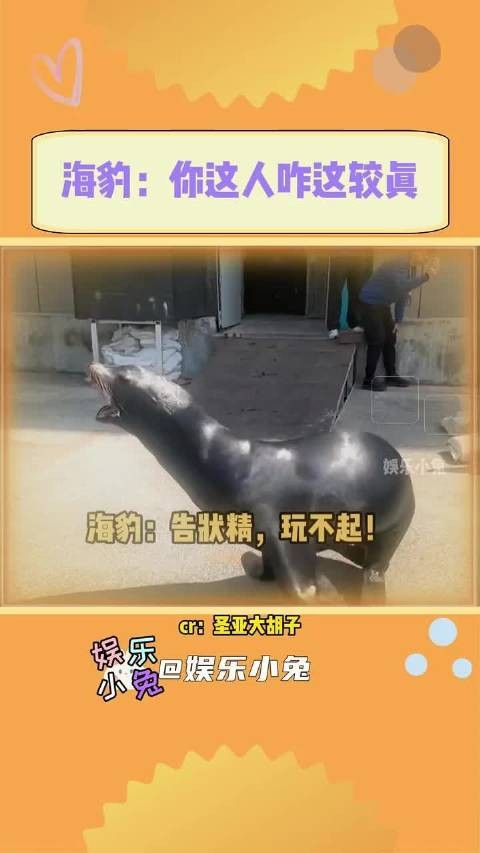 以为是抽象,没想到是实况…….