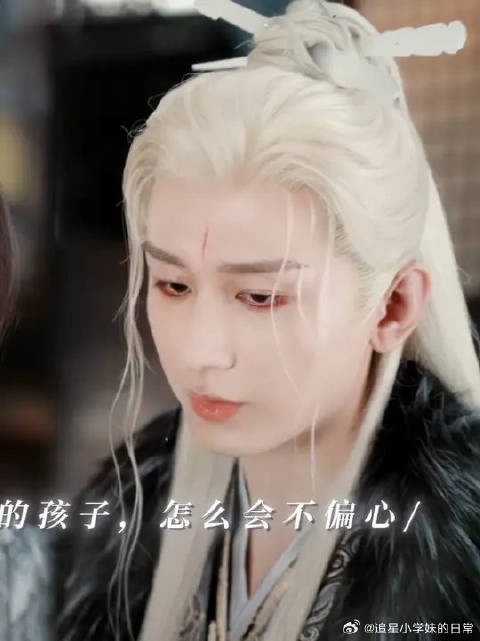 他亲手养大的狼崽子，自然是有些偏心的