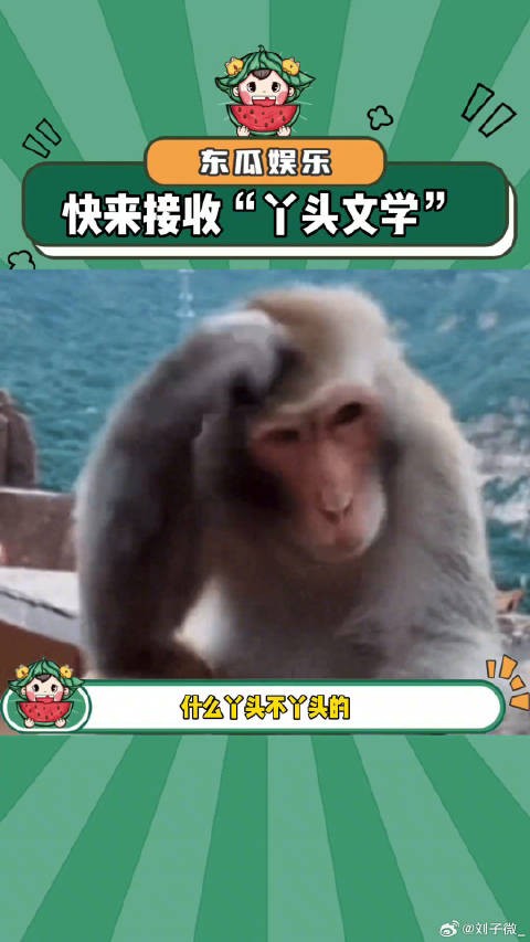 我就站在这,看谁敢笑我闺蜜老公丫头 微博VC计划