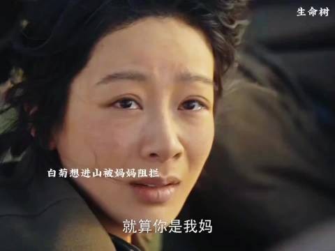 白菊与母亲争执拒进山，弟弟白及冒险要钱引争议